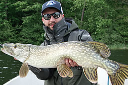 Pike fishing in our private waters, at Denmark fishing lodge