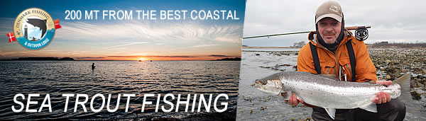 seatrout_fishing Danish seatrout flyfishing and spin fishing near our lodge