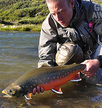 greenland fishing for arctic char with denmark fishing lodge and getaway tours